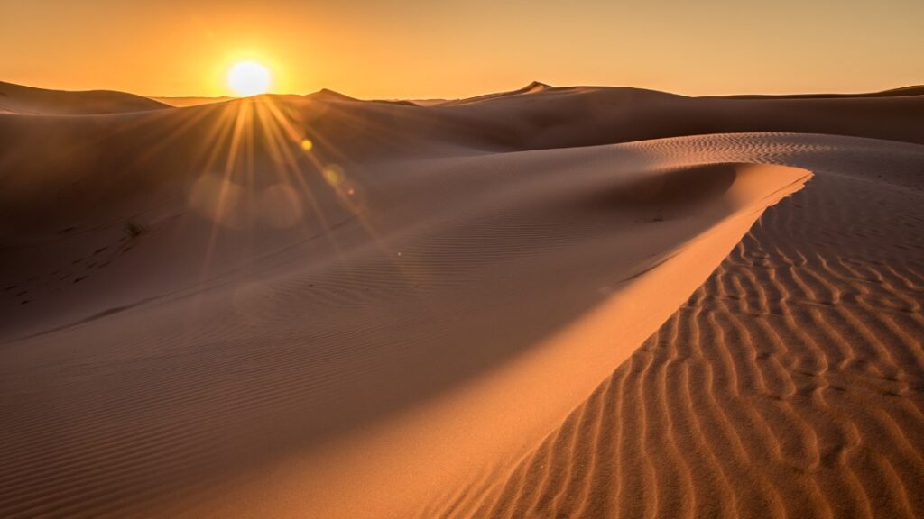 sunrise camel tour in erg chebbi
