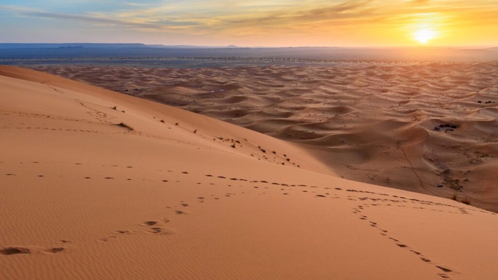 sunrise camel tour in erg chebbi