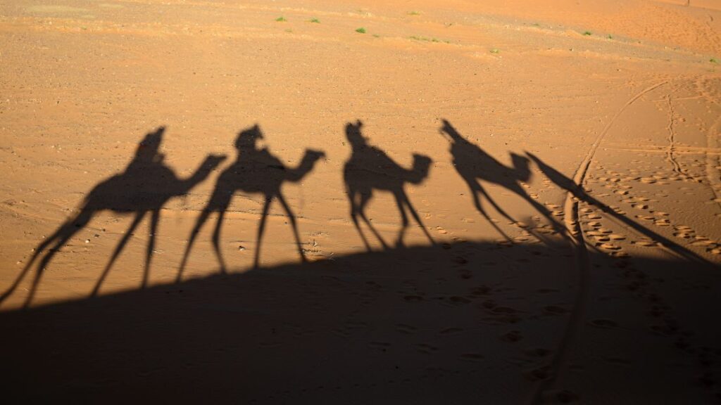 2 Nights Camel Trekking in Merzouga