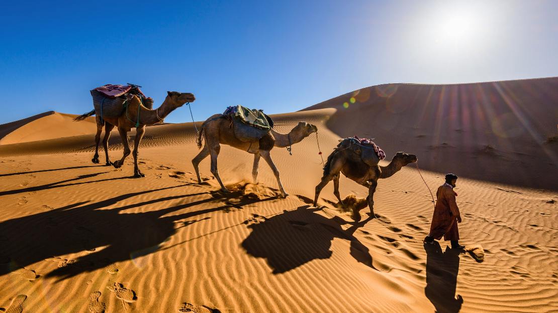 1 night wild camping in erg chebbi
