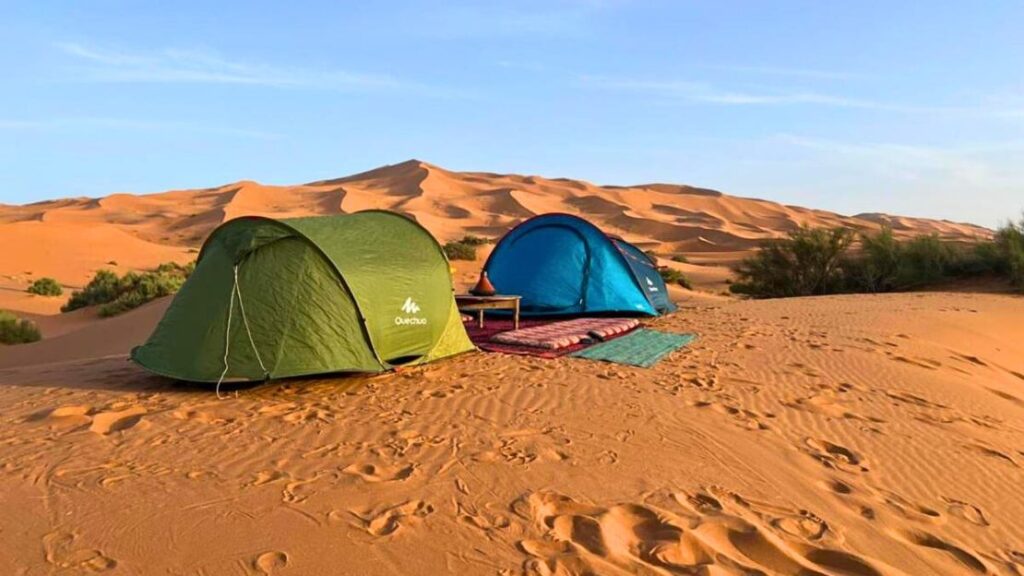 1 night wild camping in erg chebbi