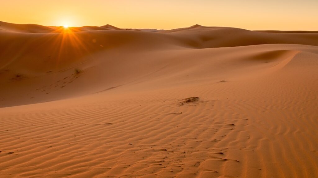 1 night wild camping in erg chebbi