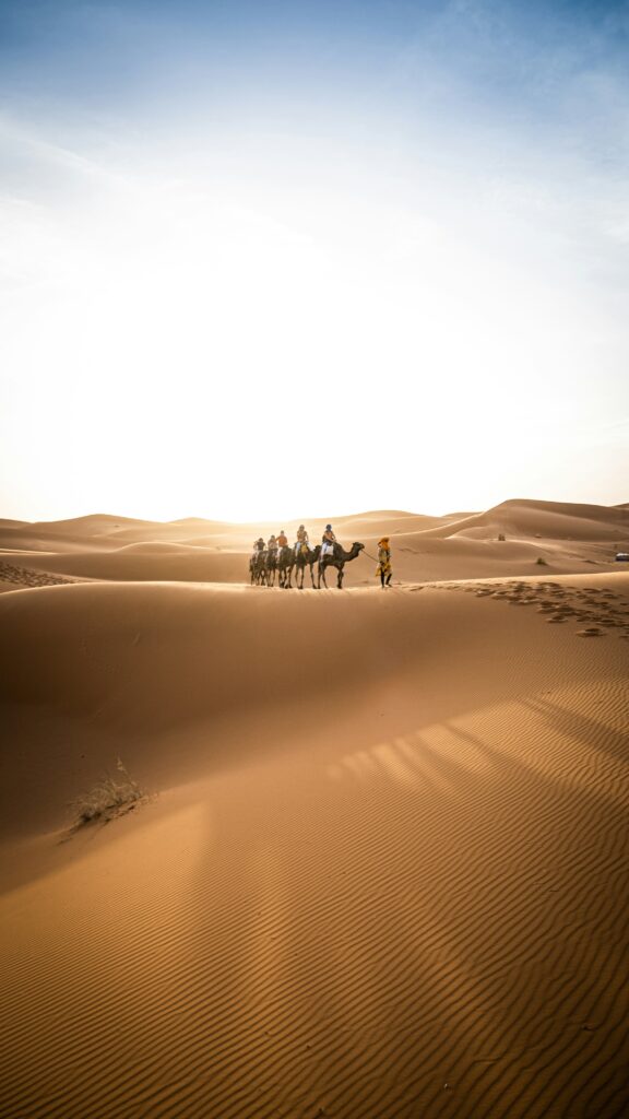 1 Nights Camel Trekking in Merzouga