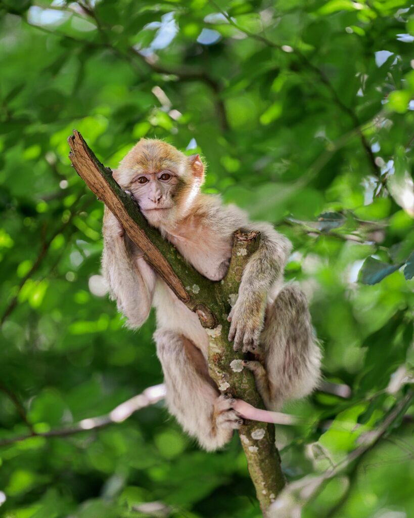 4 day desert tour from fes to marrakech