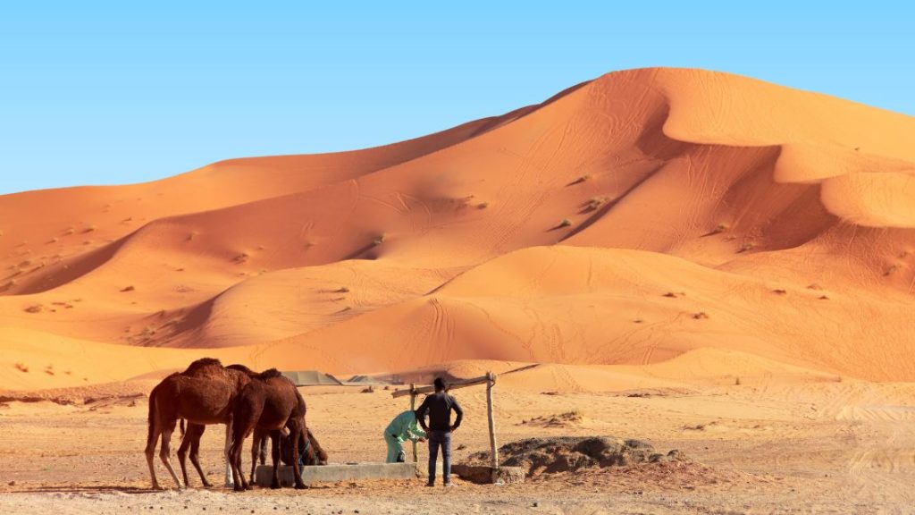 6 Days Fes to Merzouga Desert Tour