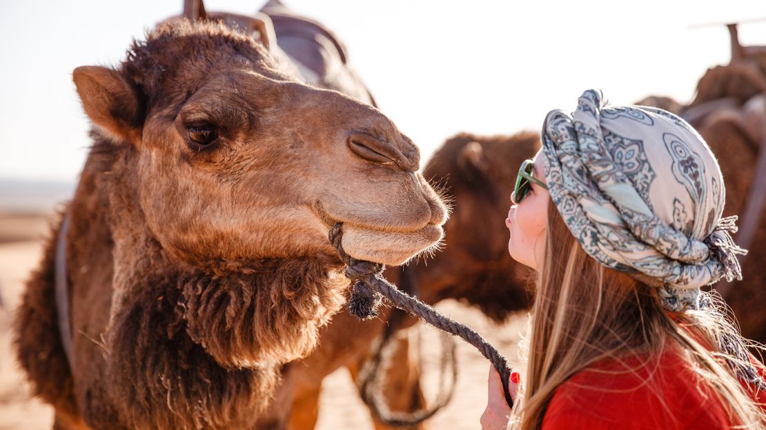 12 Days Tour from Casablanca to Merzouga