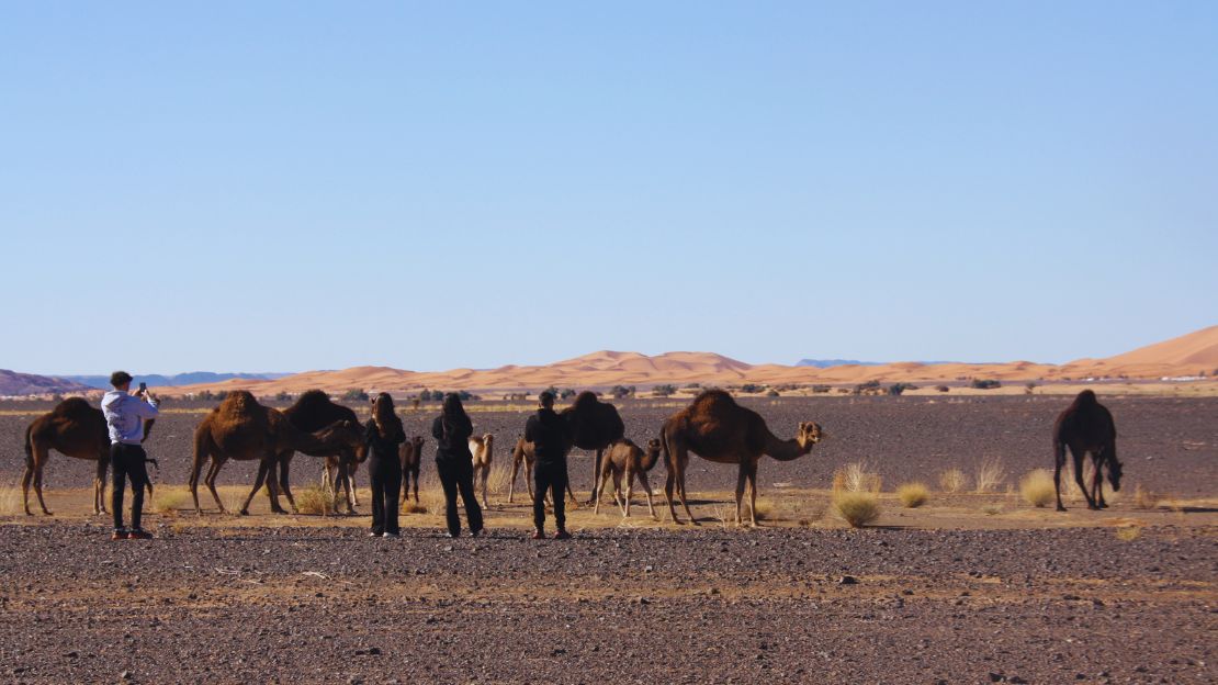 4x4 Merzouga Sahara Tours