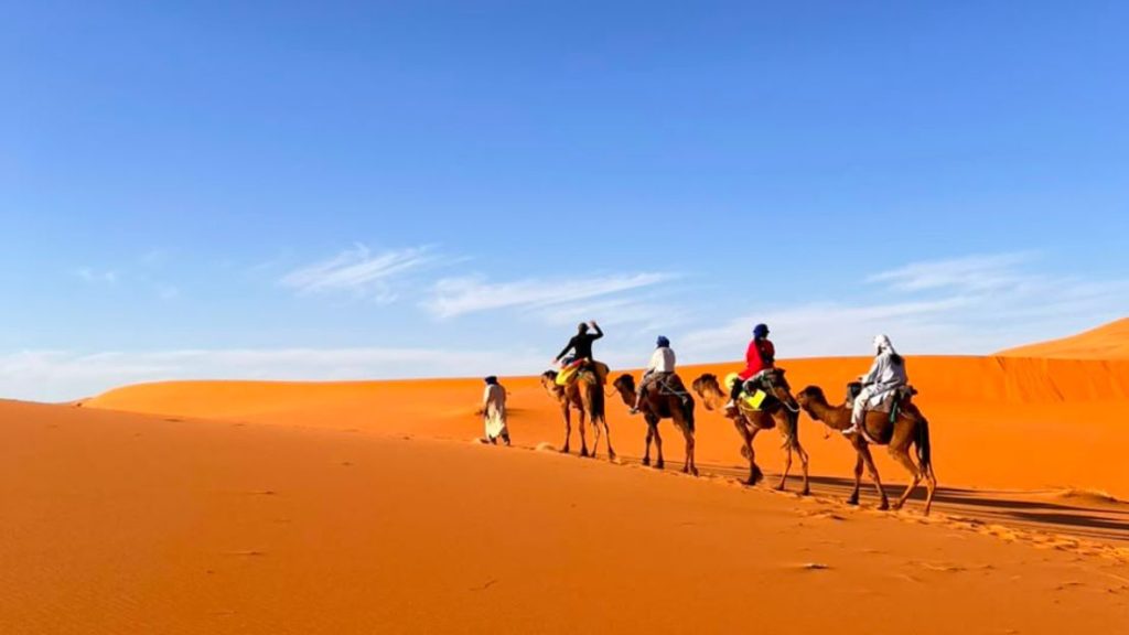 Day and Night Camel Ride in Merzouga