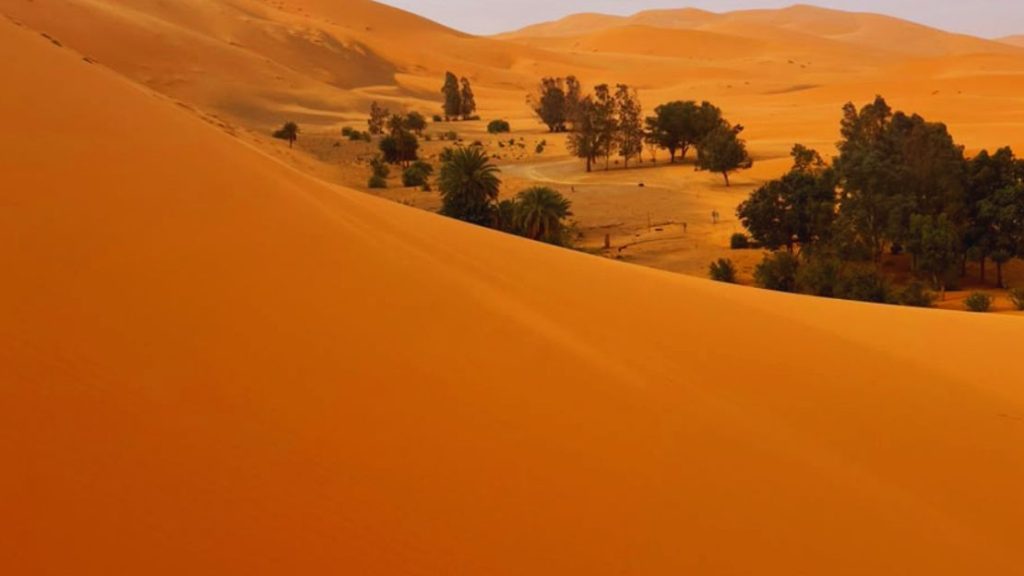 Day and Night Camel Ride in Merzouga