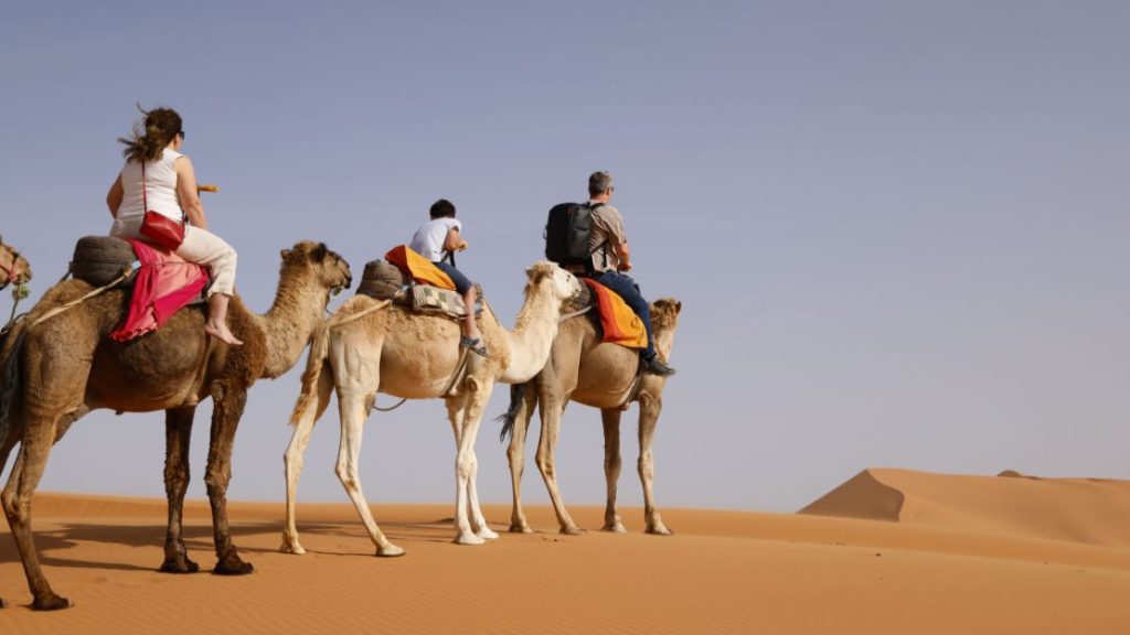 1 night camel trekking in merzouga