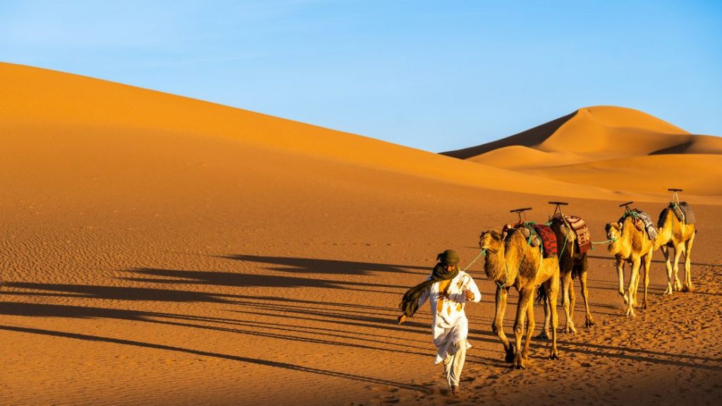 4 Days Marrakech Desert Tour